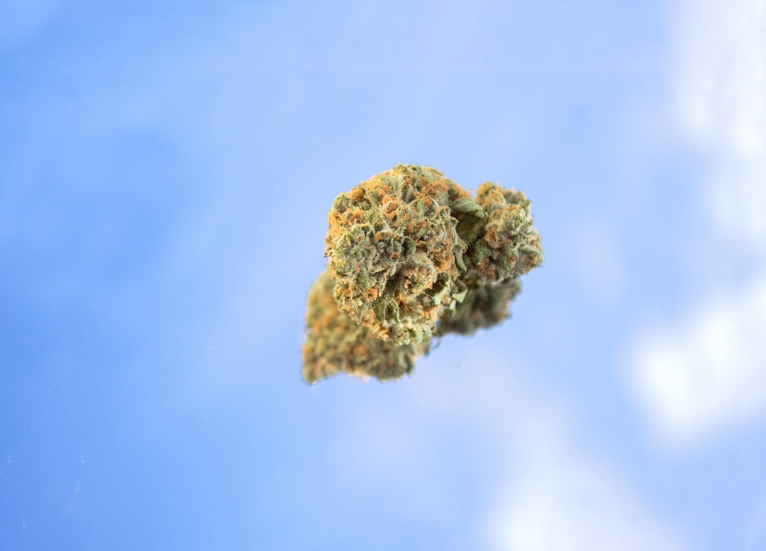 Cannabinoid therapy