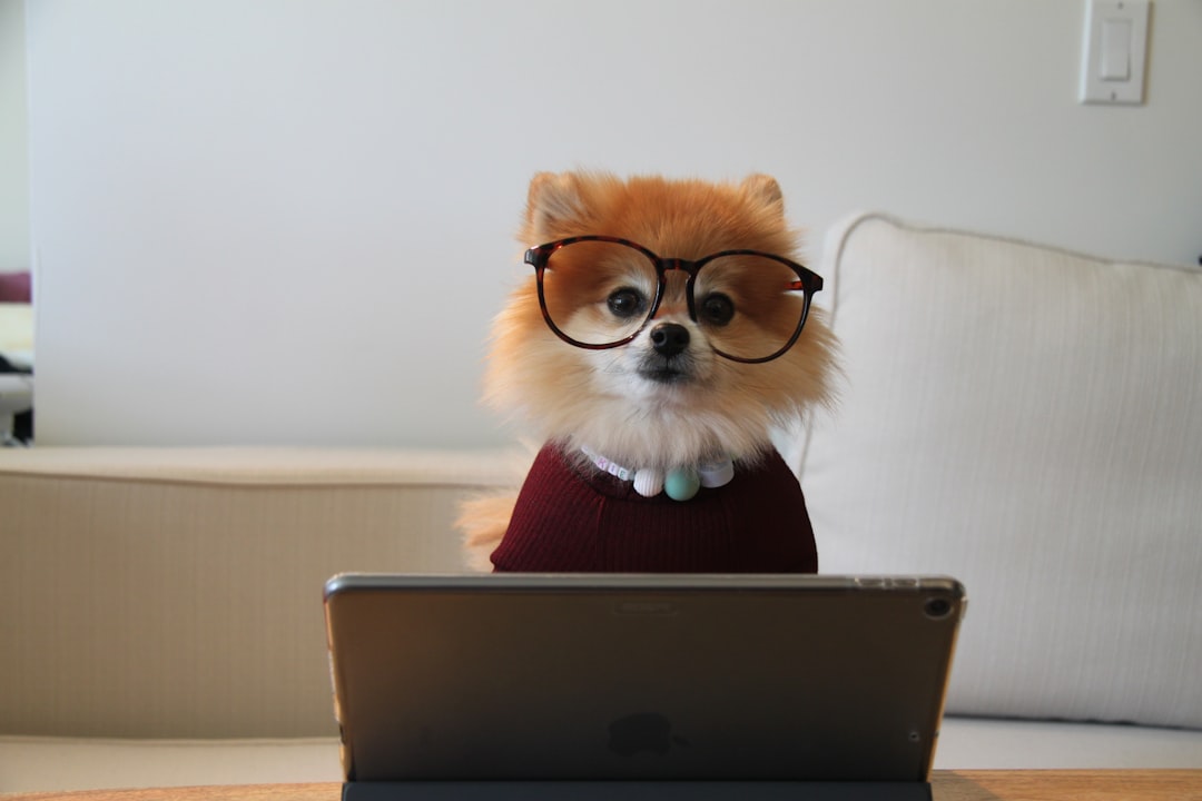 AI Consulting