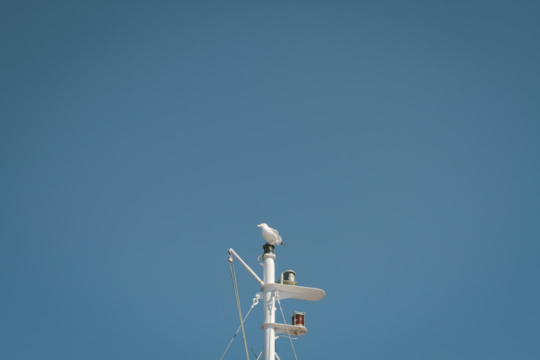 4D imaging radar