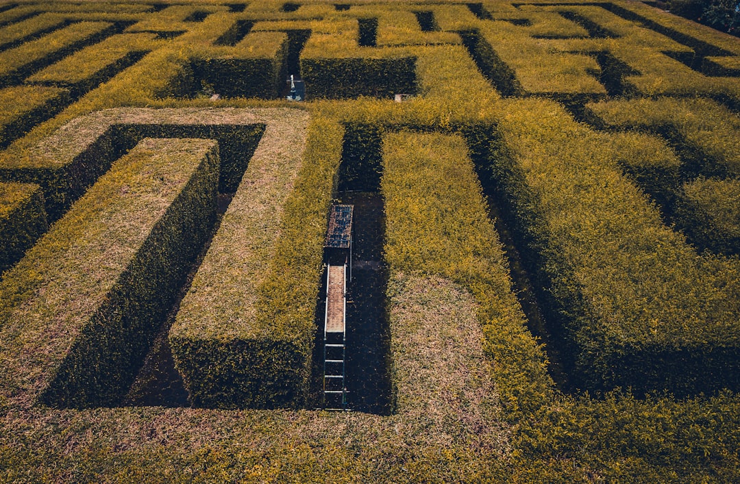 IoT Agriculture