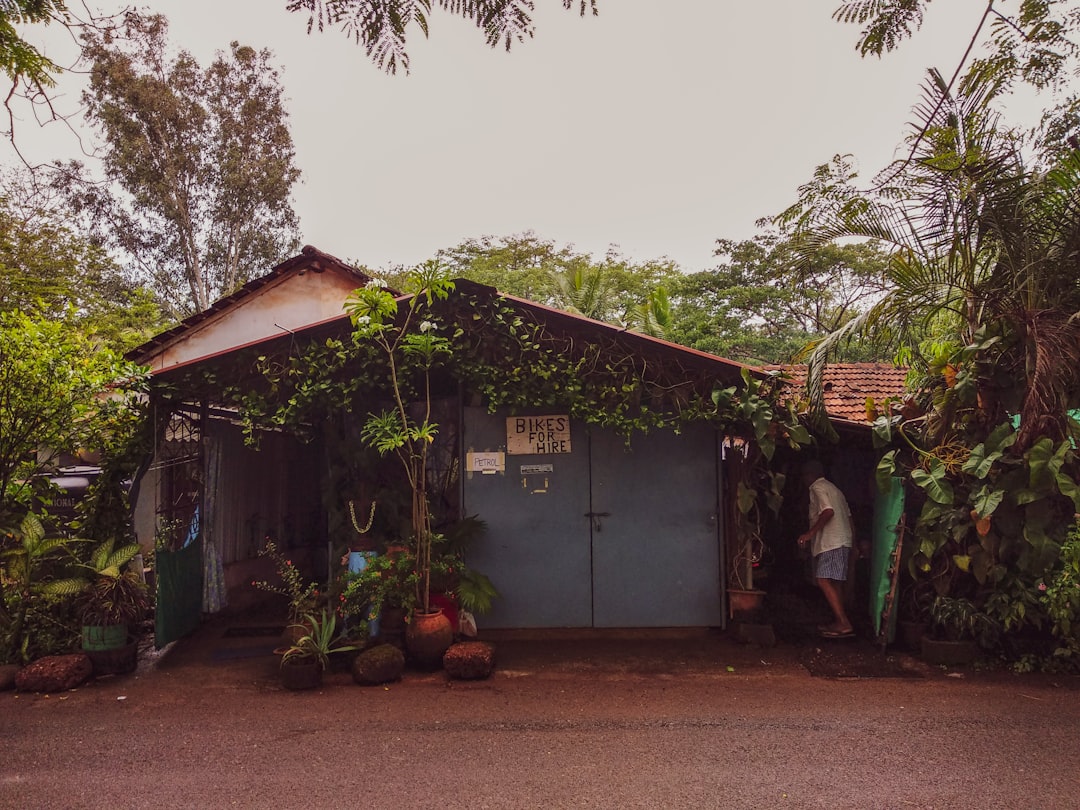 Cassava Sciences