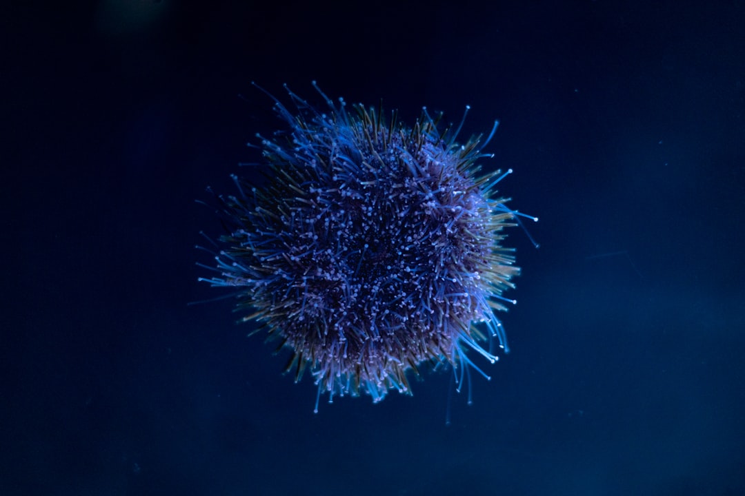 Immunotherapy