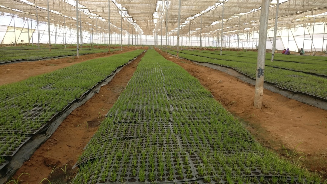 Fertilizer Production