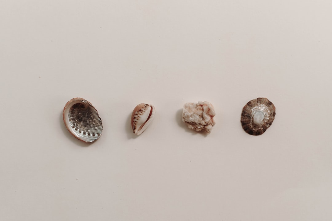 Fossil accessories