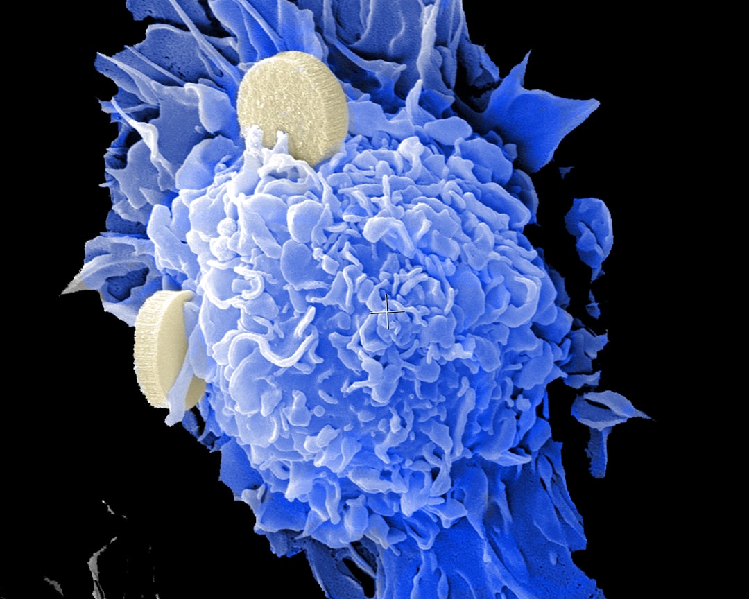 Immuno-Oncology