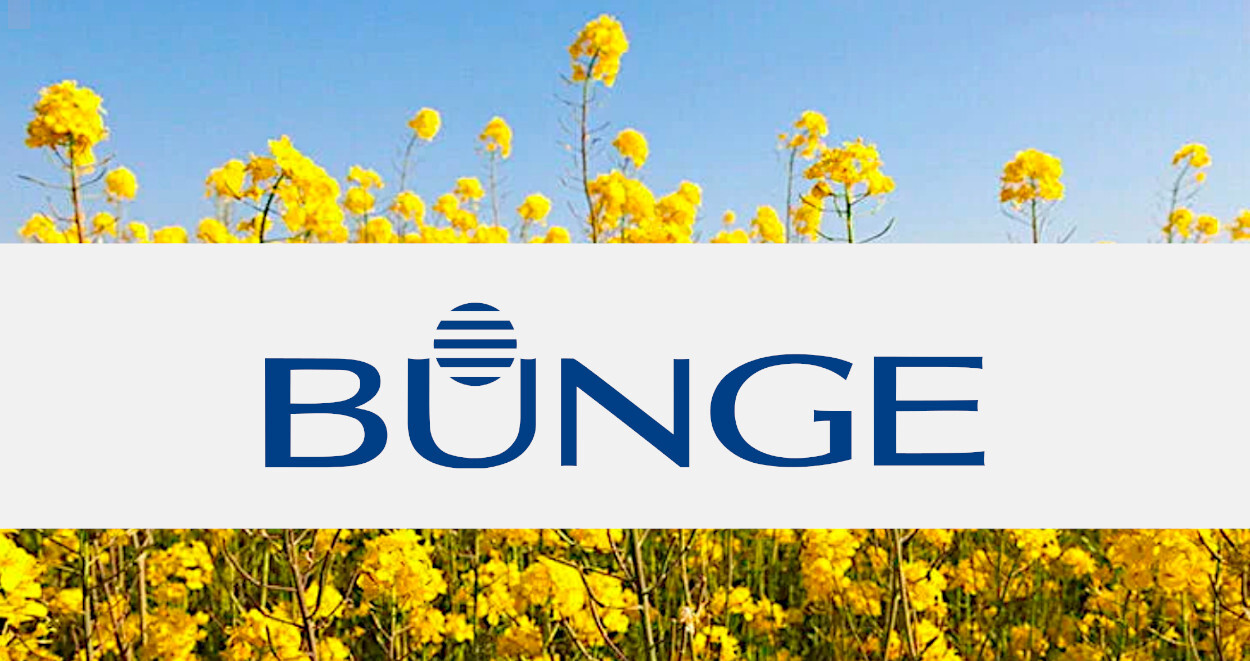 Bunge Global releases results for the second quarter of 2024 ...