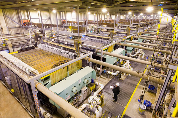 Olin Corporation - Portfolio Details