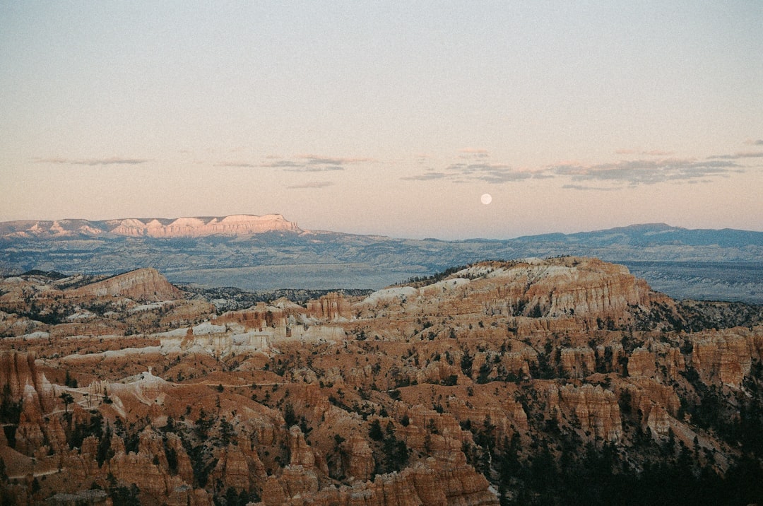 stock sale, quarterly performance, dividend, share buyback, revenue growth